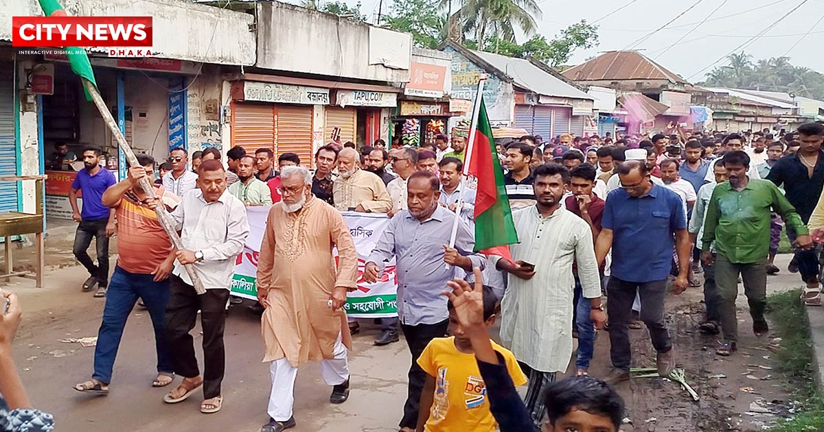 ‘জুলাই গণঅভ্যুত্থান দিবস’ উপলক্ষে নড়াইলের কালিয়ায় বিএনপির বিজয় মিছিল