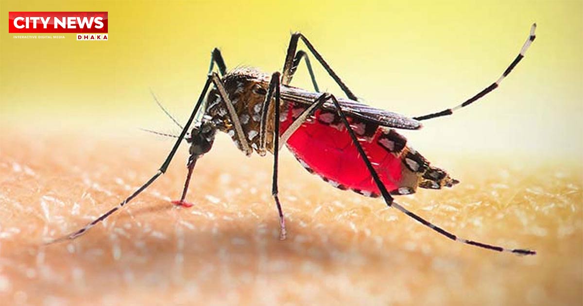 ডেঙ্গু আক্রান্ত হয়ে হাসপাতালে আরও ৩১৭ জন