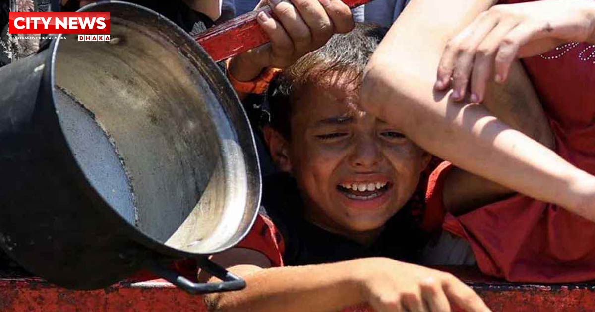 গাজায় আরও ৮০ ফিলিস্তিনিকে হত্যা, অনাহারে মৃত্যু ১৪ জন