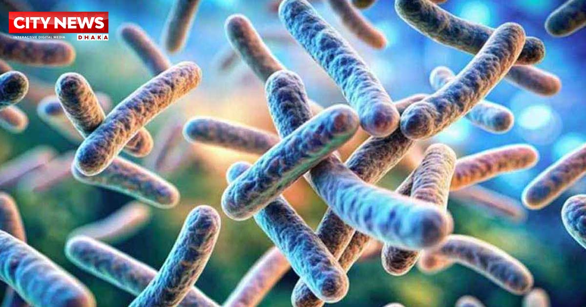 রংপুরে অ্যানথ্রাক্সে শতাধিক গরুর মৃত্যু, আক্রান্ত অর্ধশতাধিক মানুষ