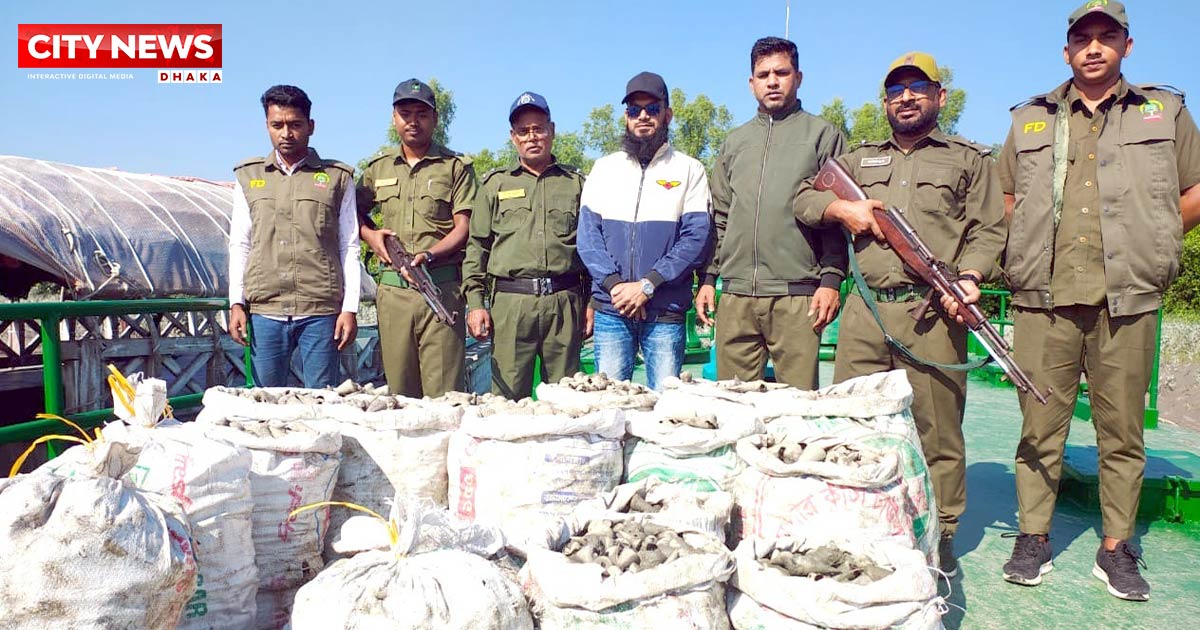 সাতক্ষীরার শ্যামনগরে বিপুল পরিমাণ ঝিনুক ও শামুক উদ্ধার