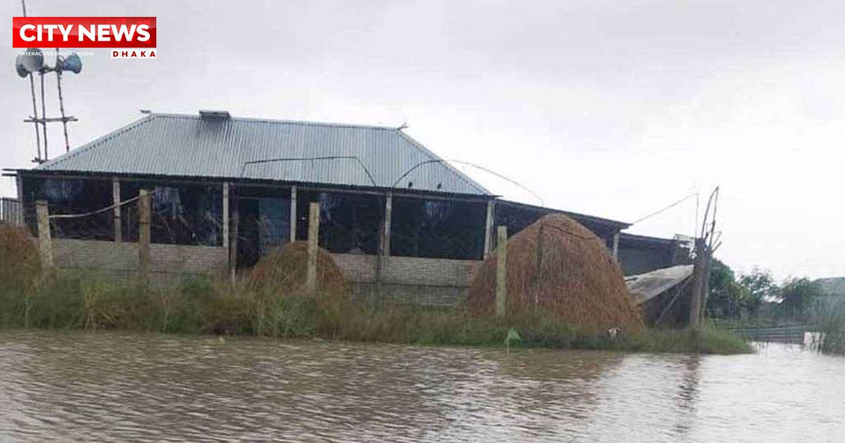 বাঘায় পদ্মার চর আবারও প্লাবিত, বিপাকে বাসিন্দারা
