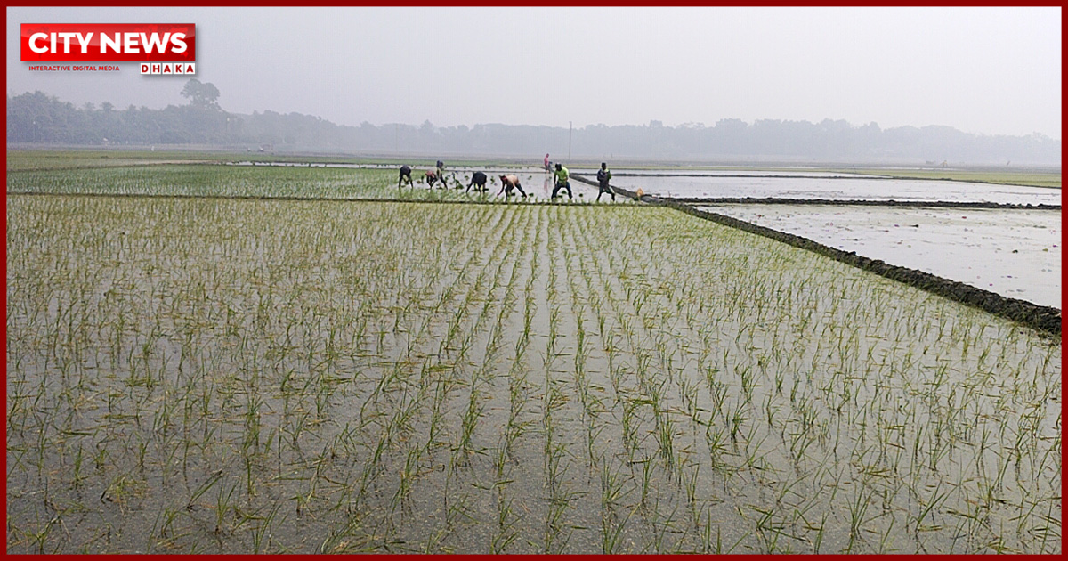 সাতক্ষীরায় 