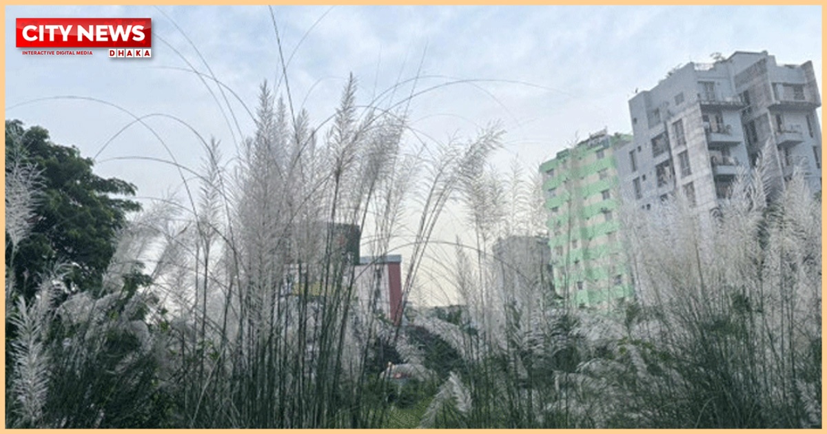 Dhaka ranks fourth in air pollution today