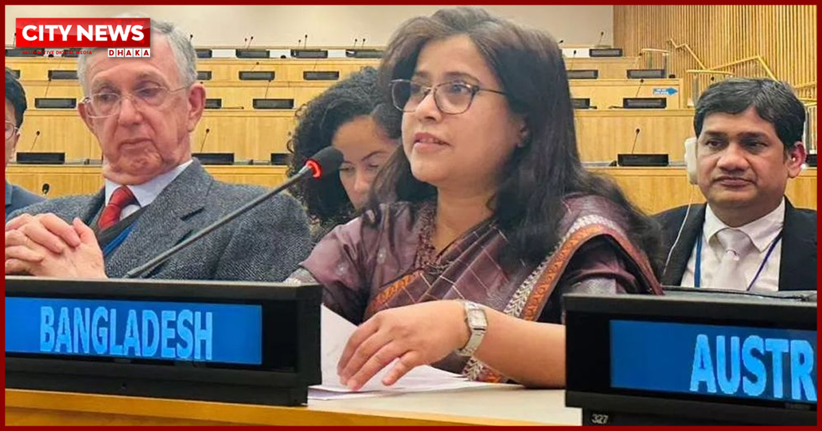 জাতিসংঘ শান্তি বিনির্মাণ কমিশনের সহ-সভাপতি বাংলাদেশ