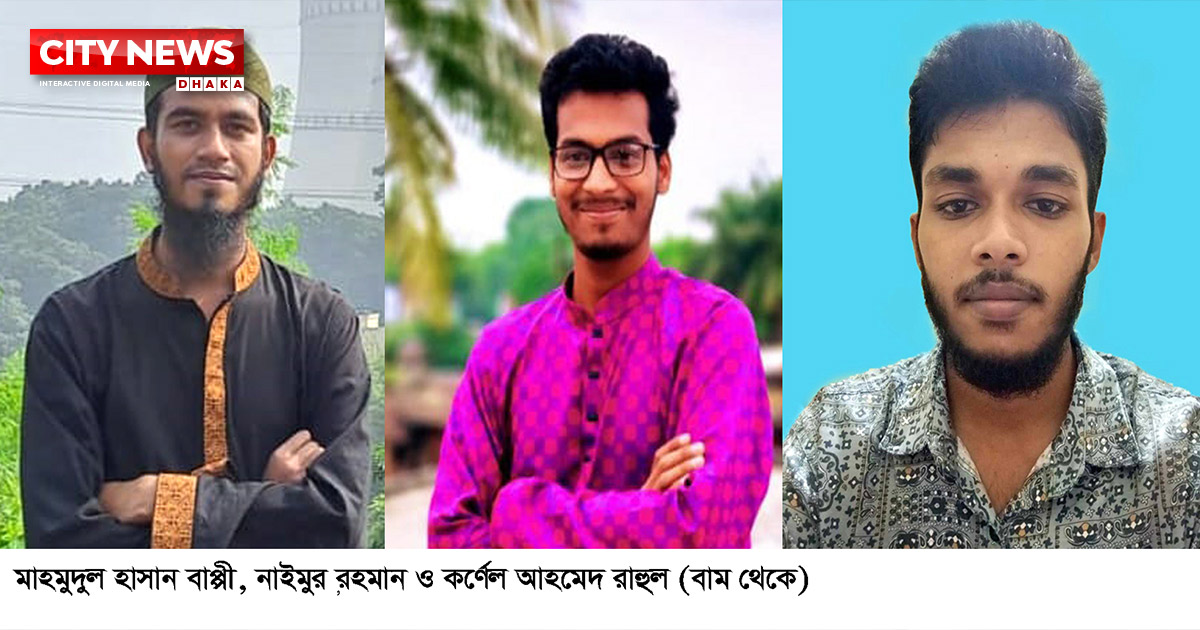 আন্তর্জাতিক প্রতিযোগিতায় পাবিপ্রবির তিন শিক্ষার্থীর কৃতিত্ব; উপাচার্যের অভিনন্দন