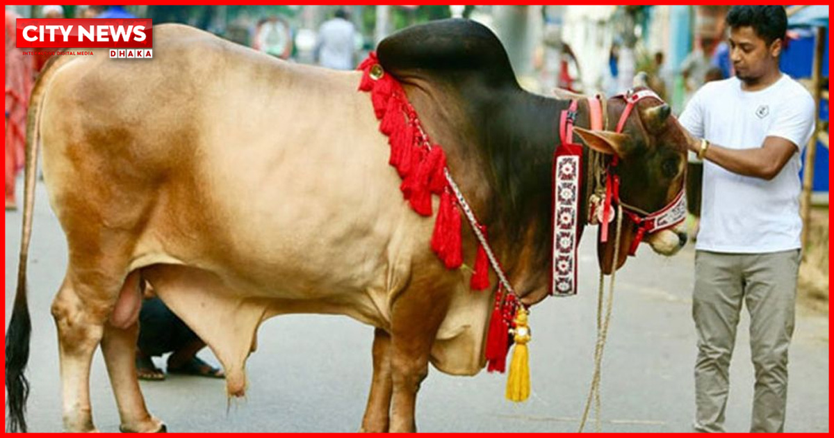 অপবিত্র অবস্থায় পশু কুরবানি করলে আদায় হবে কি? জানুন শরিয়তের স্পষ্ট বিধান