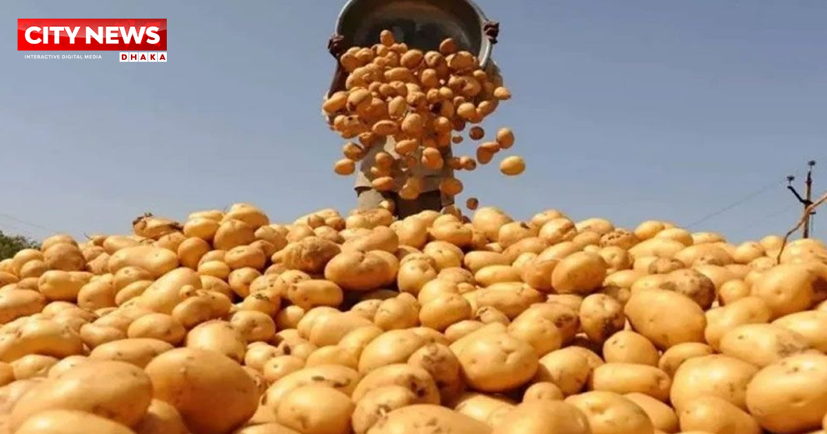 আলুর সর্বনিম্ন দাম বেঁধে দিলো সরকার