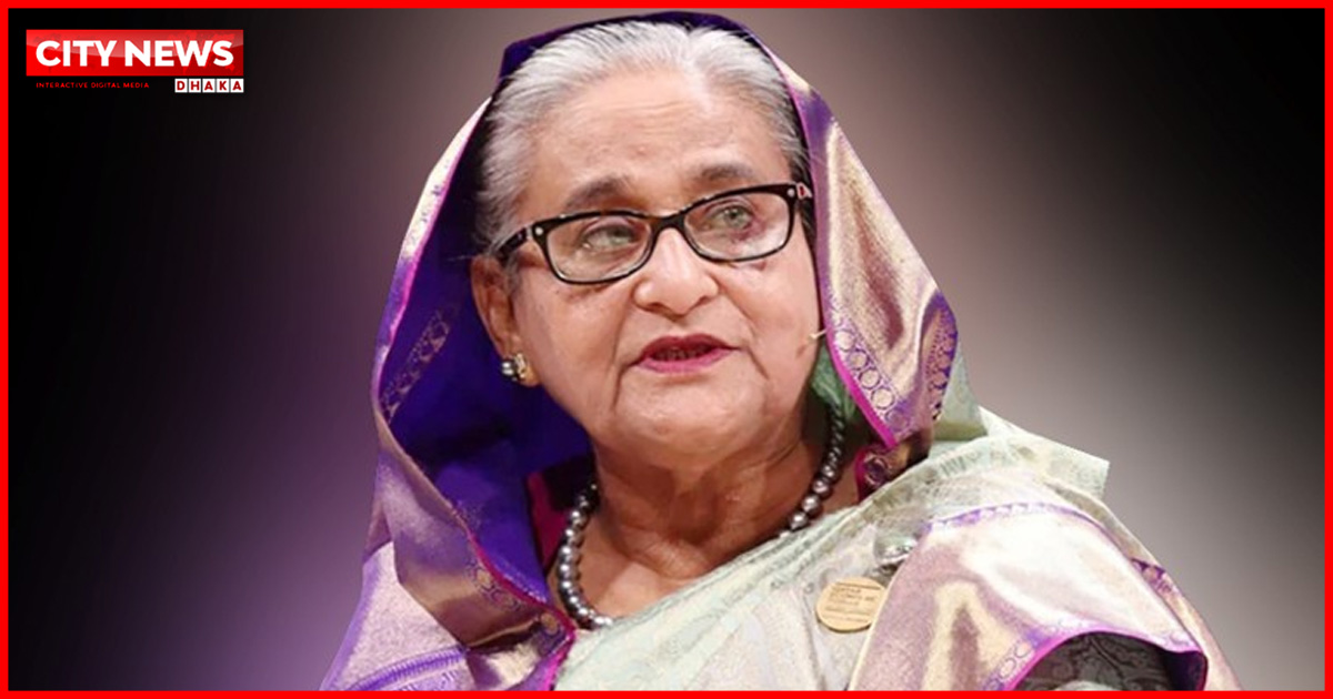 ‘শেখ হাসিনাকে বিচারের মুখোমুখি করতে দেশে ফেরানোর চেষ্টা চলছে’