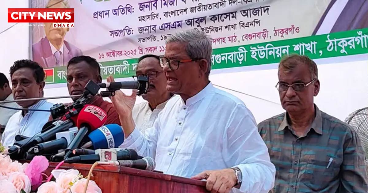 পিআর-টিআর বাদ দিয়ে নির্বাচন হোক, জনগণ সিদ্ধান্ত নেবে: মির্জা ফখরুল