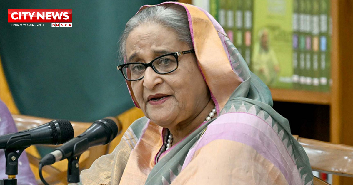 শেখ হাসিনার বিচারে যতটুকু সময় প্রয়োজন সেই গতিতেই এগোচ্ছে: তাজুল ইসলাম