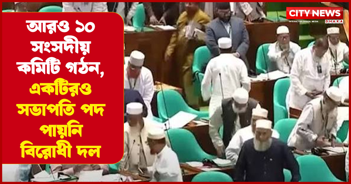 আরও ১০ সংসদীয় কমিটি গঠন, একটিরও সভাপতি পদ পায়নি বিরোধী দল