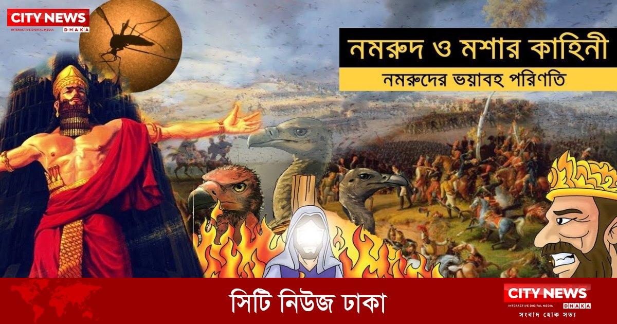 Anal fisting porno videolar