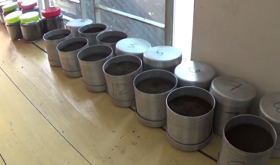 ১ কেজি চায়ের দাম ৩ হাজার টাকা!