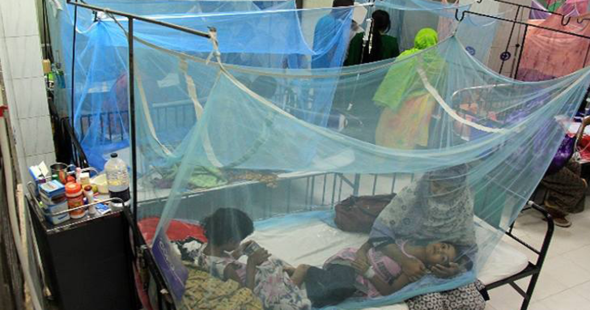 আগস্টের ৭ দিনে ডেঙ্গু রোগী ১৬৬১