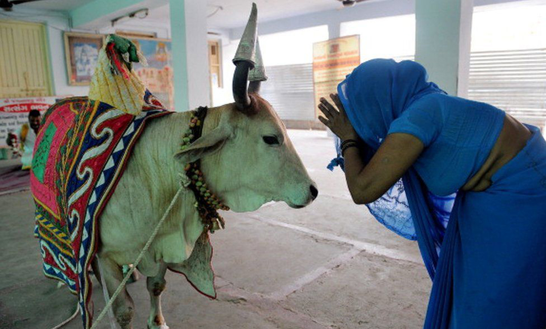 আসামে গো হত্যা রোধে নতুন বিল