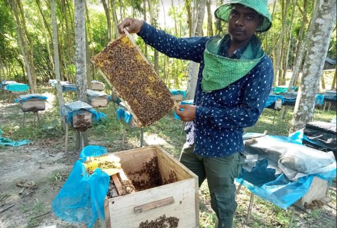 বাক্সের ভেতর লুকিয়ে মৌচাষির স্বপ্ন