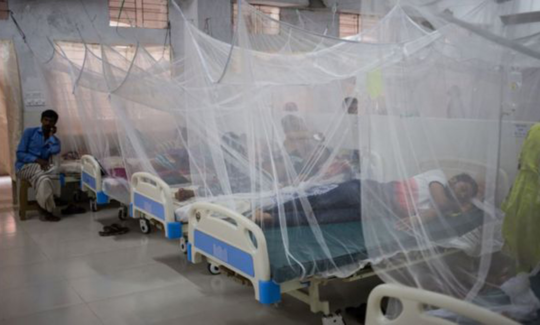 বছরের সর্বোচ্চ ডেঙ্গু রোগী শনাক্ত