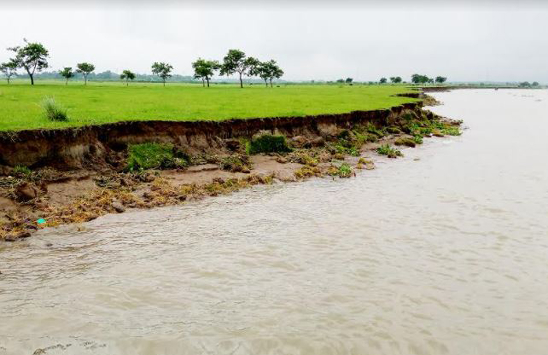 বর্ষার শুরুতেই মেঘনার ভাঙন, বিলীন হচ্ছে চরাঞ্চলের জমি