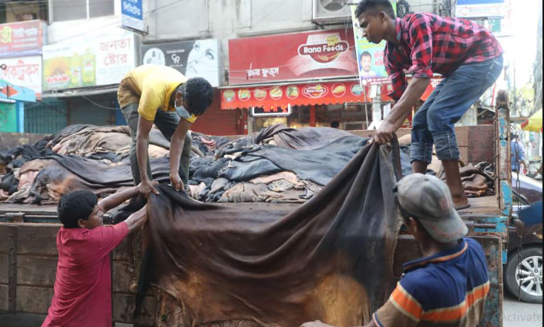 চামড়া সংরক্ষণে বাণিজ্য মন্ত্রণালয়ের তিন কমিটি