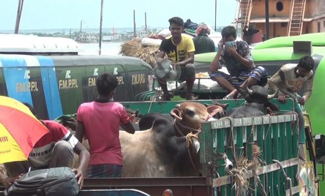 বাংলাবাজার-শিমুলিয়া নৌরুটে মানুষ ও পশুবাহী ট্রাকের ভিড়