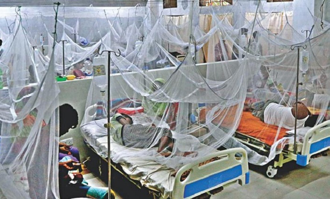 ডেঙ্গু আক্রান্ত আরও ২১৪ জন হাসপাতালে ভর্তি