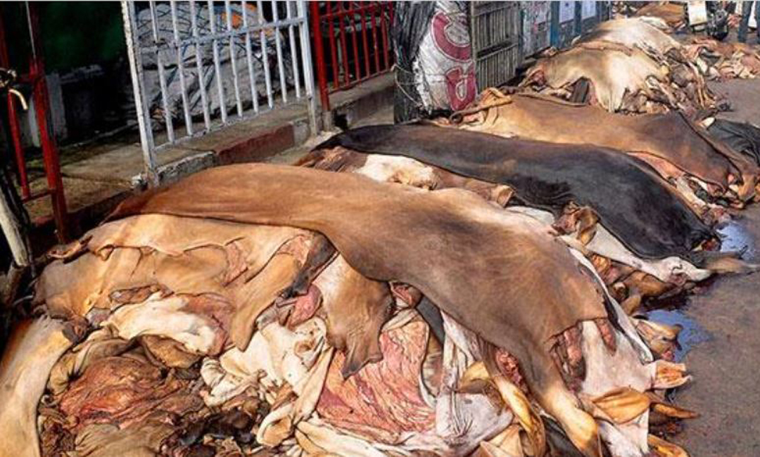 ঈদের তৃতীয় দিনেও চলছে চামড়া বেচাকেনা