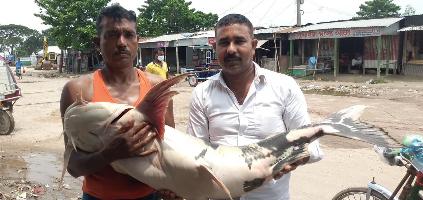 এক বাঘাইড় ২৭ হাজারে বিক্রি