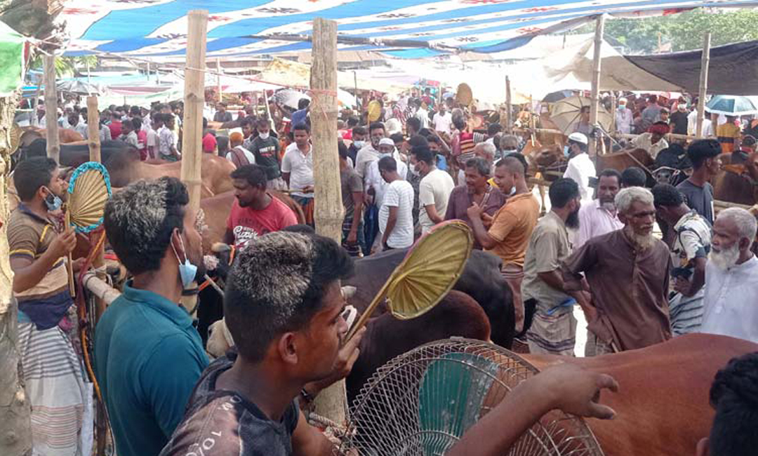 ‘হাটে স্বাস্থ্যবিধি উপেক্ষিত হলে অ্যাপে অভিযোগ দিন’