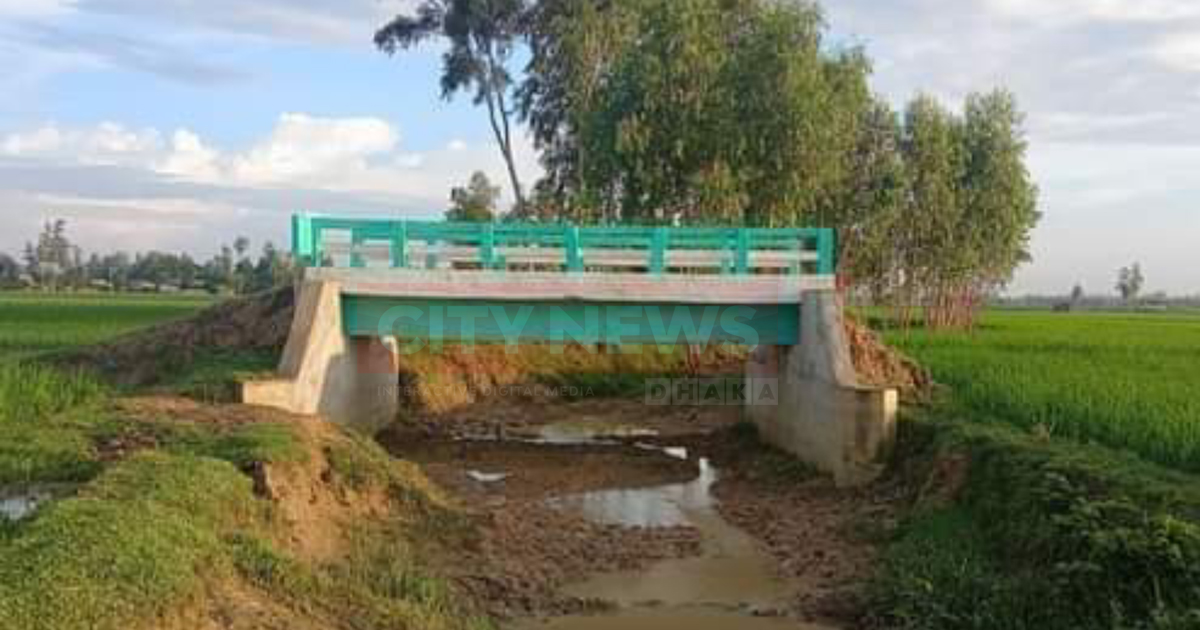 ফসলি জমির মাঝে দাঁড়িয়ে ‘এতিম সেতু’