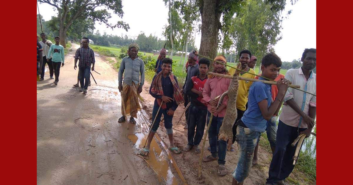 তীর-ধনুক পরিচালনায় পারদর্শী এই শিকারিরা