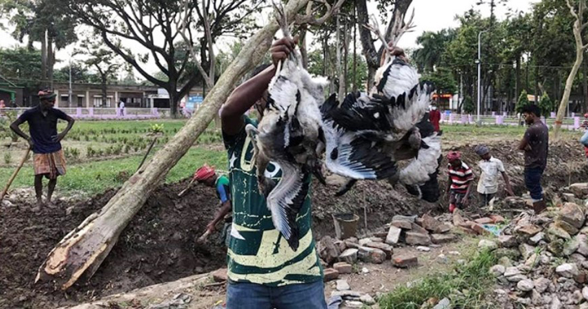 রামেকে পাখি হত্যার অভিযোগে ৩ কোটি টাকার ক্ষতিপূরণ মামলা