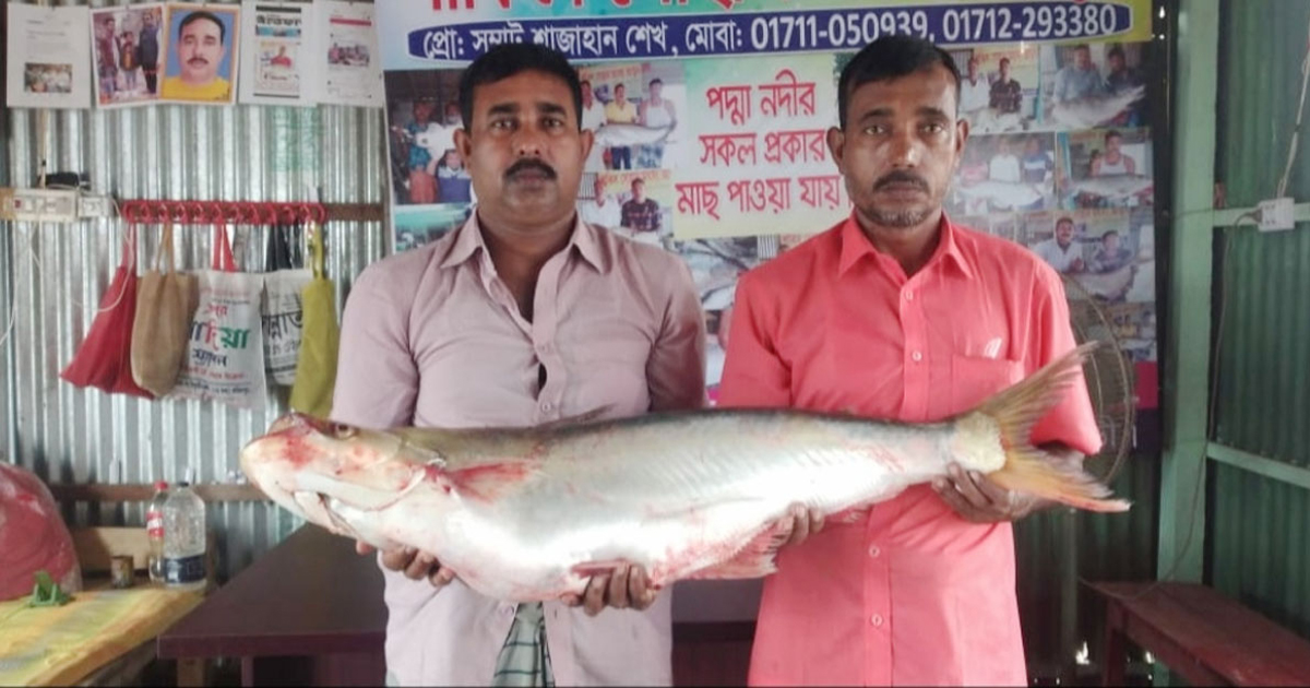 ৩৪ হাজার টাকায় বিক্রি হলো ঢাই মাছ