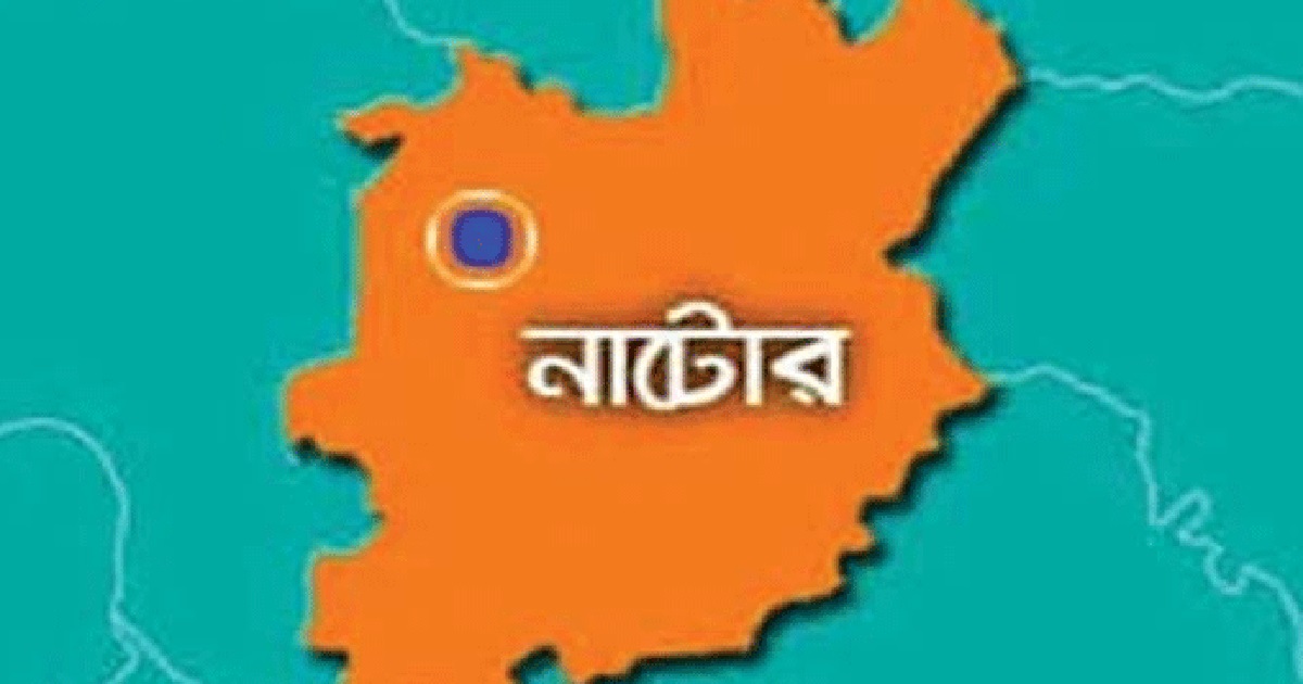 নাটোরে বিদ্যুৎস্পৃষ্টে কলেজ ছাত্রের মৃত্যু