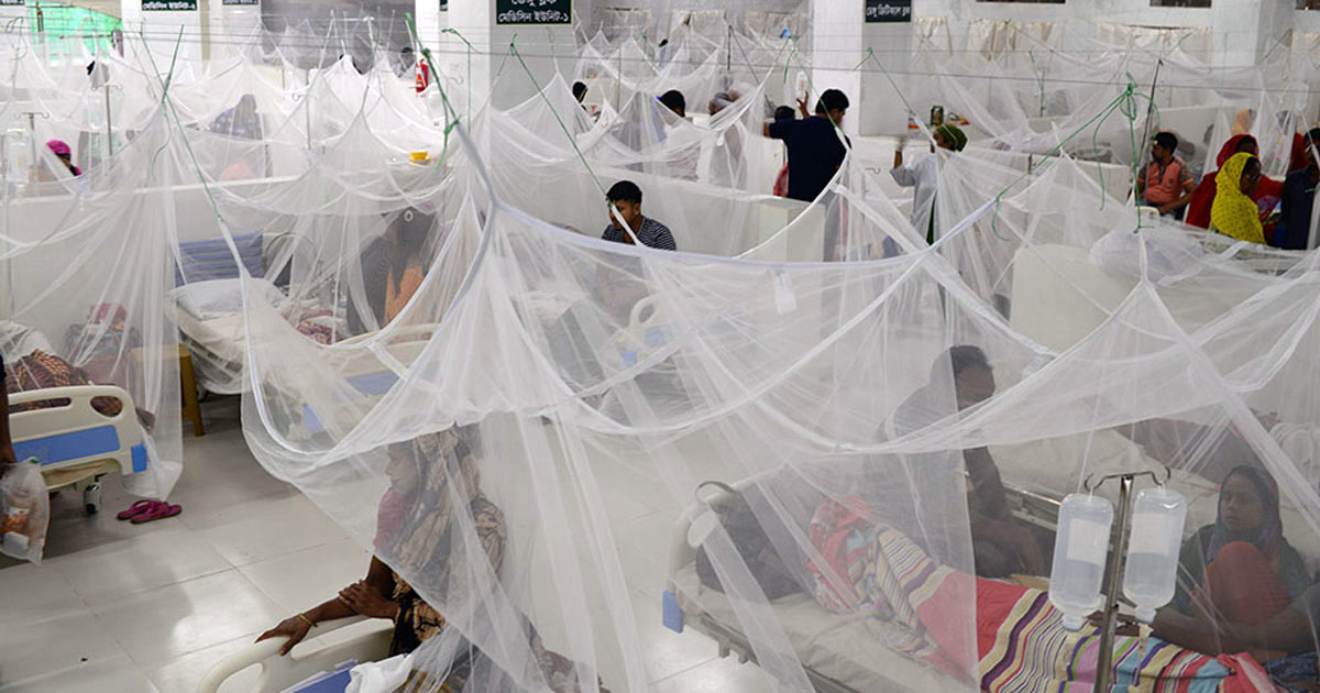 হাসপাতালে আরও ২২৯ ডেঙ্গু রোগী