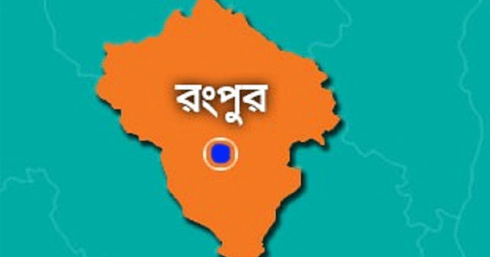 গাছের ডাল কাটতে গিয়ে প্রাণ হারালেন মুদি ব্যবসায়ী