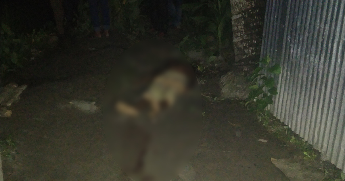 নিজ বাড়িতে দুর্বৃত্তদের হাতে কৃষক খুন