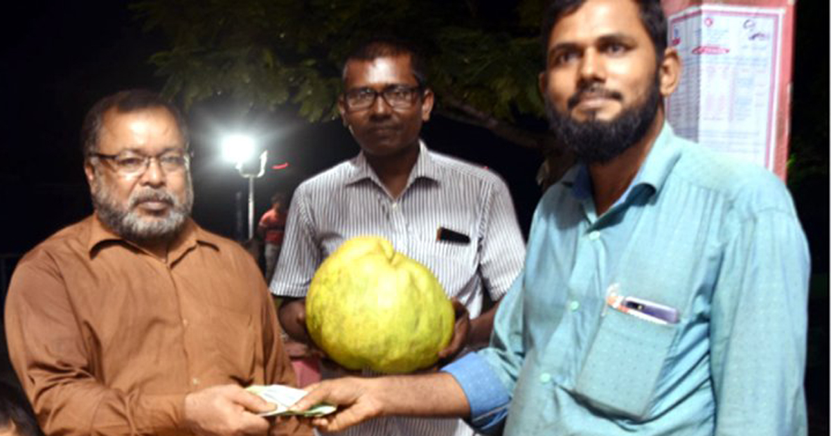 ৬ হাজার ঢাকায় বিক্রি হলো এক জাম্বুরা