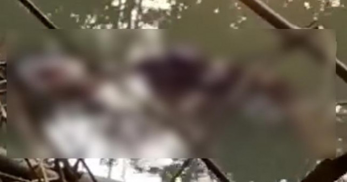 বাবার বদলে মেয়েকে হত্যা করল দুর্বৃত্তরা