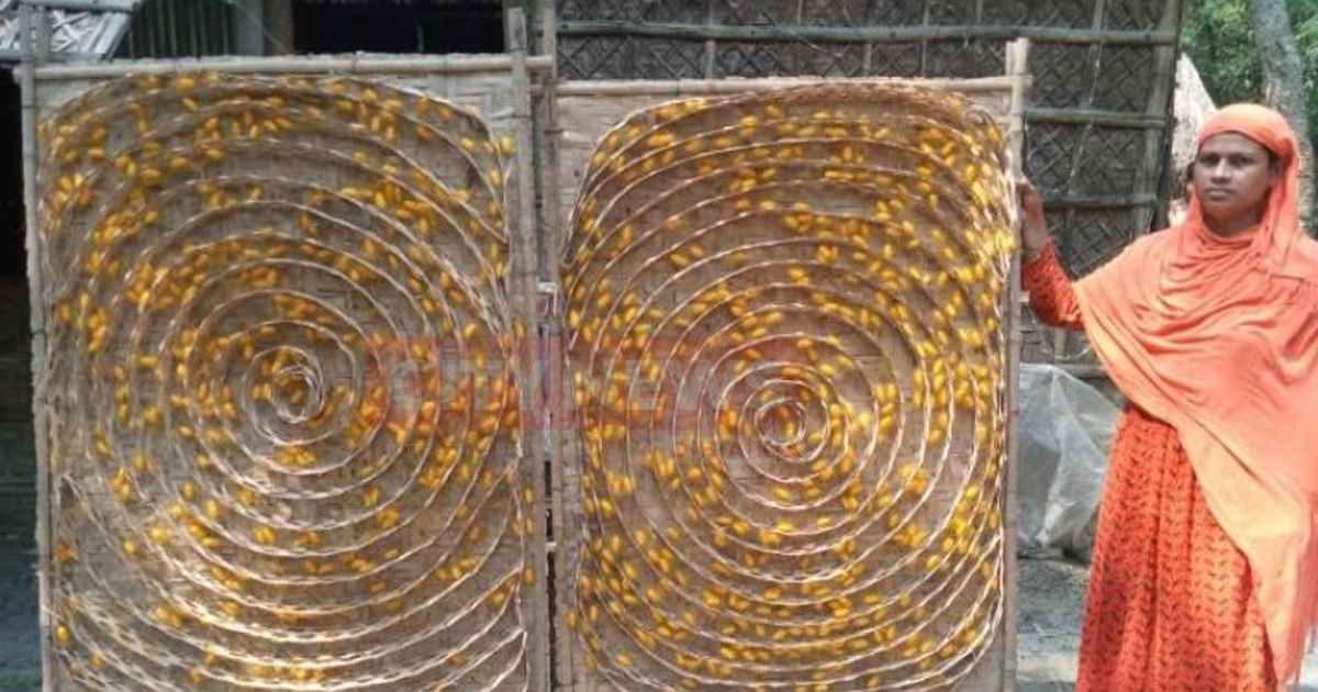 রেশম চাষে স্বাবলম্বী হচ্ছেন কিশোরগঞ্জের নারীরা