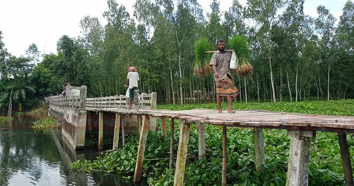 সেতু পার হতে ভরসা কাঠের সাঁকো!