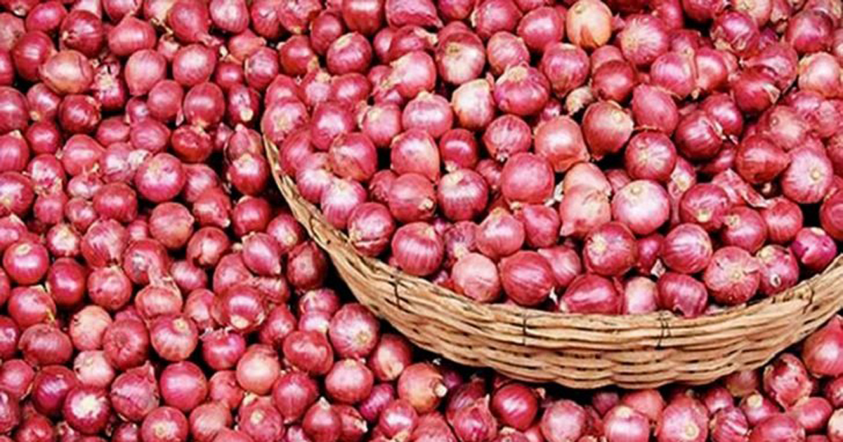 কখন পেঁয়াজ আসবে, জানালেন বাণিজ্য সচিব