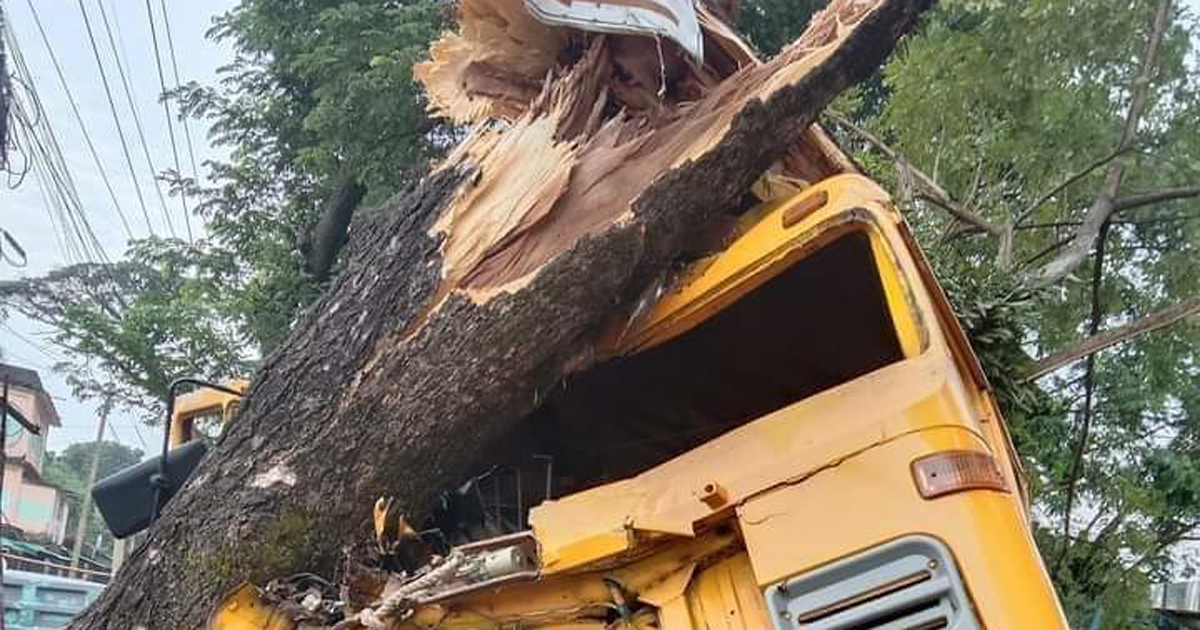 গাছের সঙ্গে ধাক্কা লেগে ট্রাক সহকারী নিহত