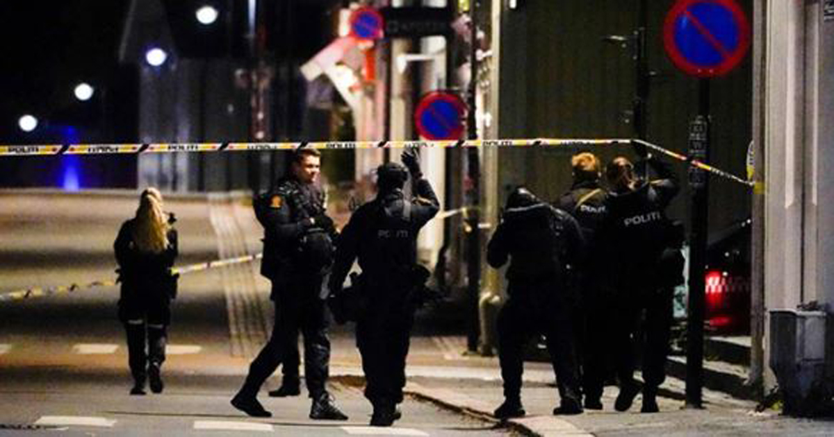 নরওয়েতে তীর-ধনুক হামলায় নিহত ৫