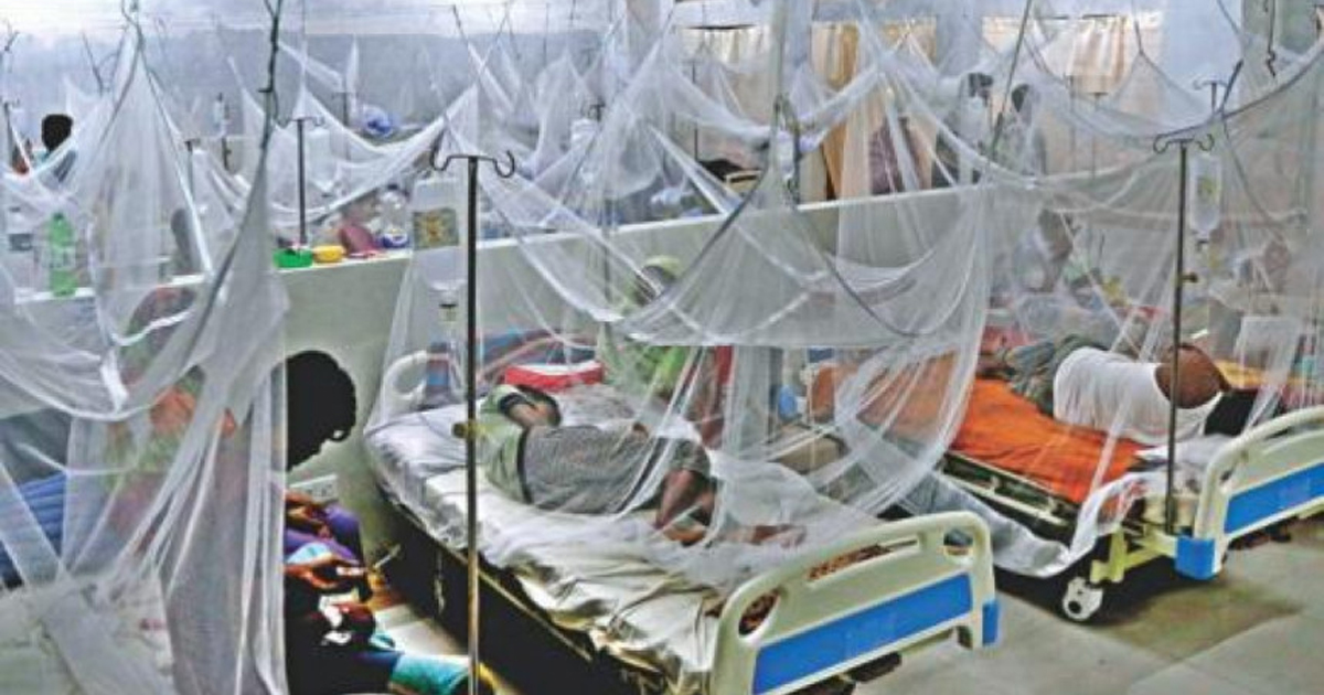 দেশে কমছে ডেঙ্গুর প্রকোপ