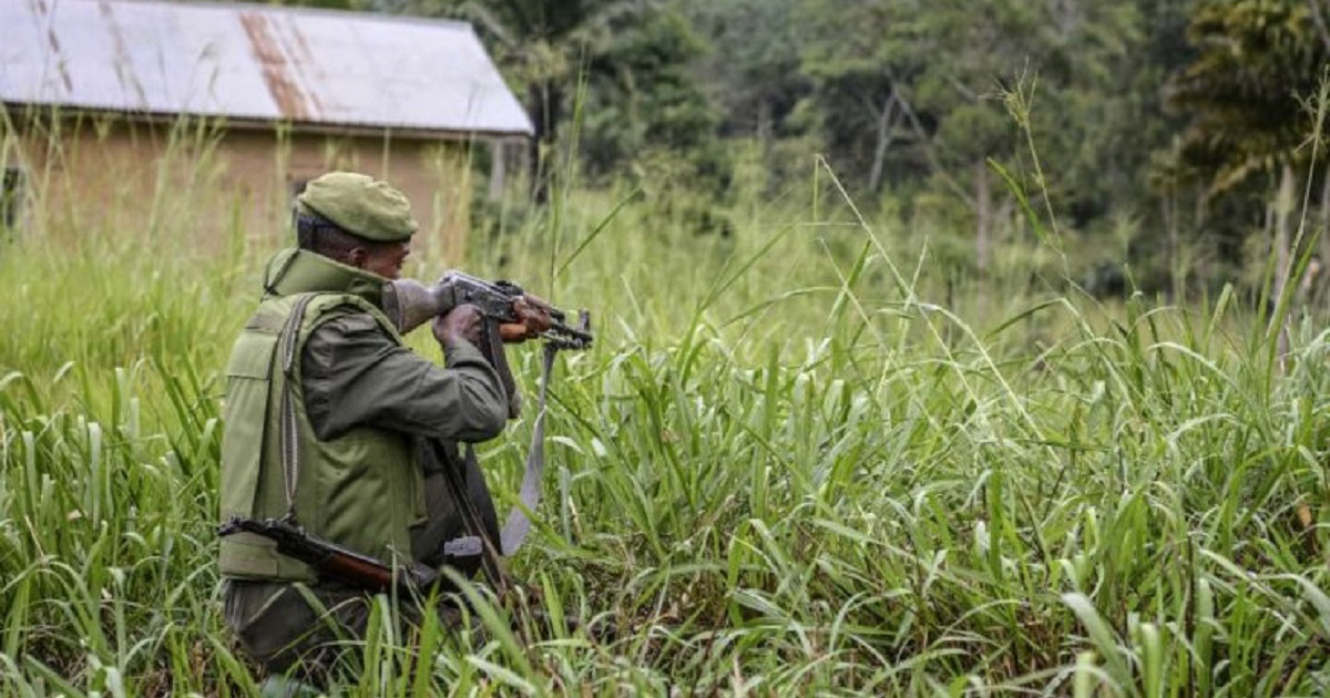 কঙ্গোতে সেনা অভিযানে ২ দিনে ২৭ বিদ্রোহী নিহত