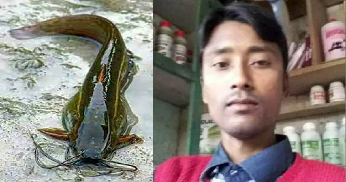 শিং মাছের বিষে প্রাণ গেল চিকিৎসকের