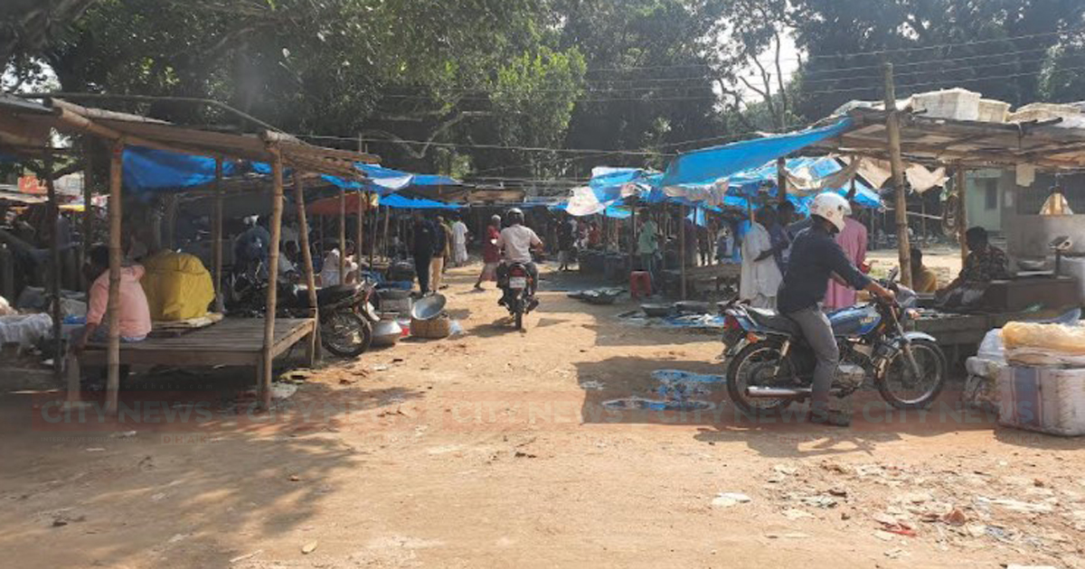 অস্থায়ী মাছ বাজারে অতিষ্ঠ ঠাকুরগাঁওবাসী