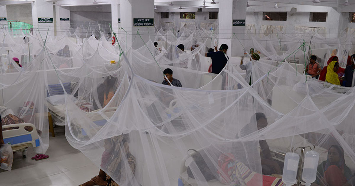 ২৪ ঘণ্টার ব্যবধানে ফের বাড়ল ডেঙ্গু রোগী
