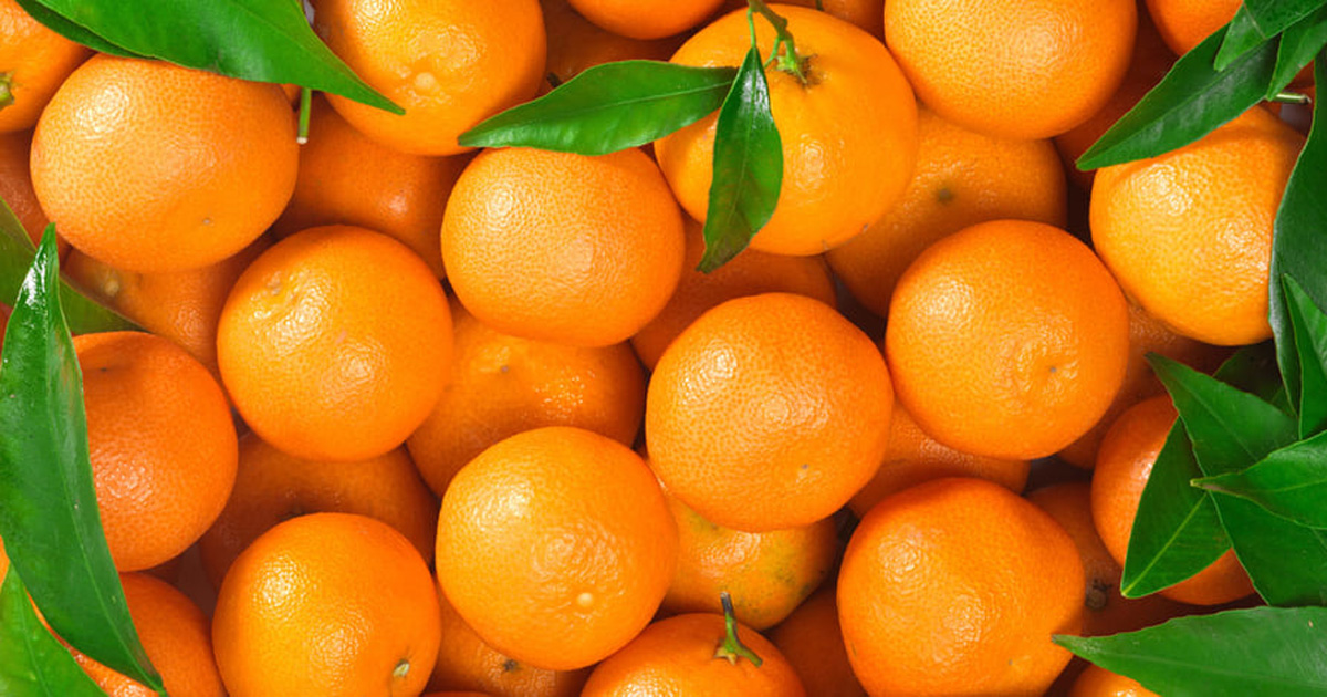 শীতে কমলা খাওয়ার উপকারিতা